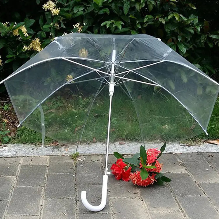 Fashionable Transparent Eco-Friendly Long Umbrella