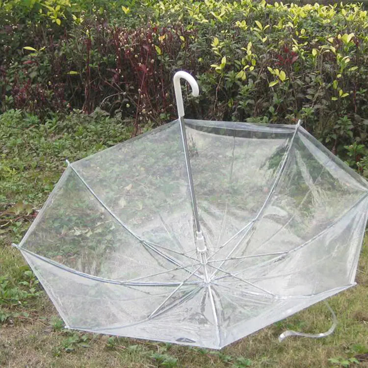 Fashionable Transparent Eco-Friendly Long Umbrella