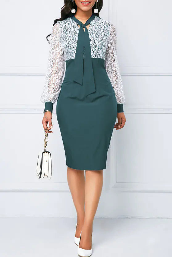 Elegant Lace Office Dress
