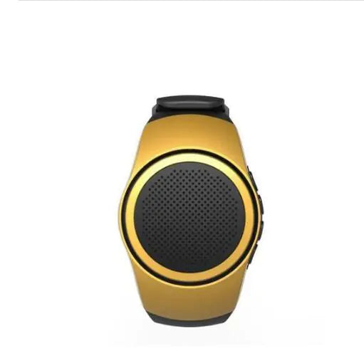 Bluetooth Speaker, Sports Watch, Smart Speaker