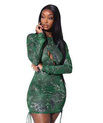 Mesh Sheer Long Sleeve Dress