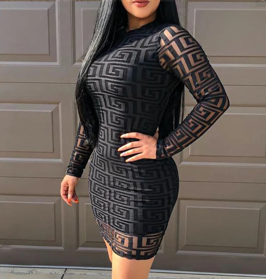 Geometric Pattern Sheer Mesh Long Sleeve Dress