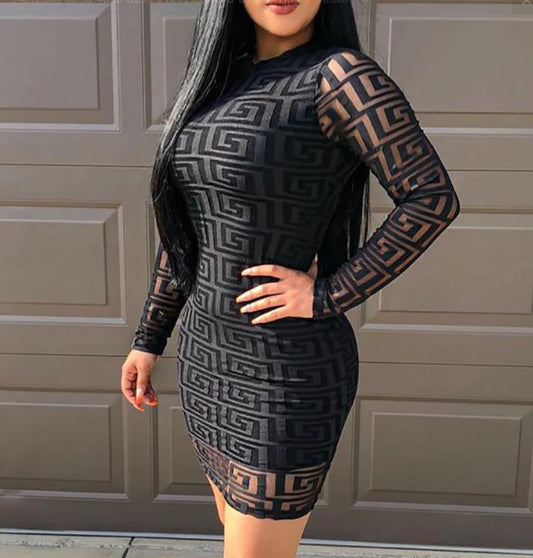 Geometric Pattern Sheer Mesh Long Sleeve Dress
