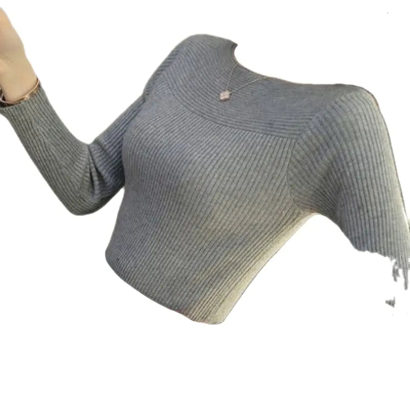 Women's Fitted Knit Top with Crew Neck Design