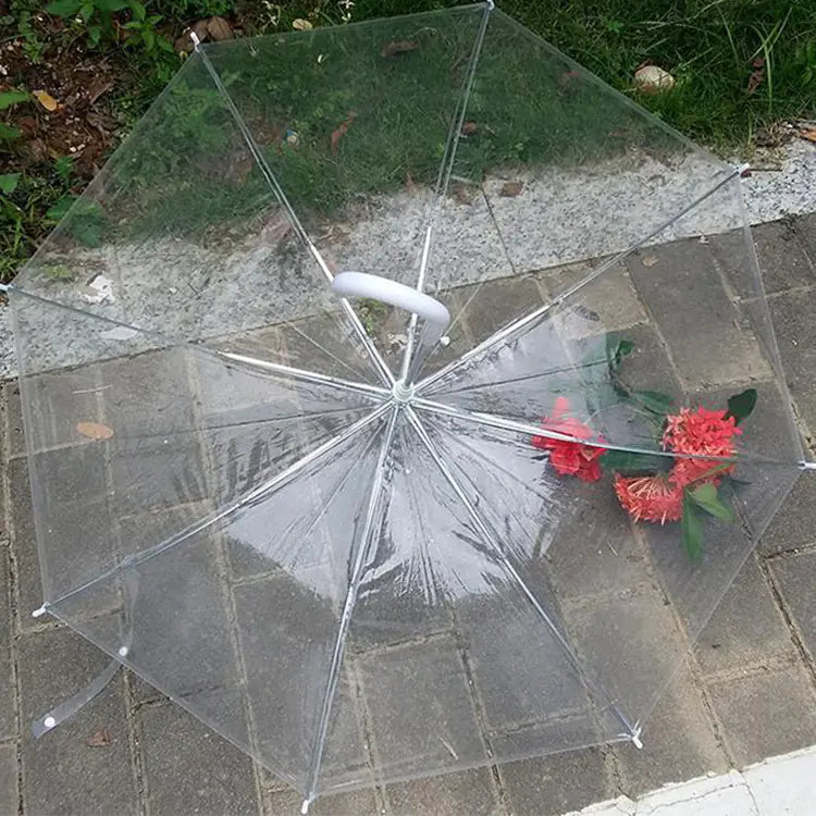Fashionable Transparent Eco-Friendly Long Umbrella