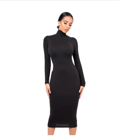 Long Sleeve Sheer Dress