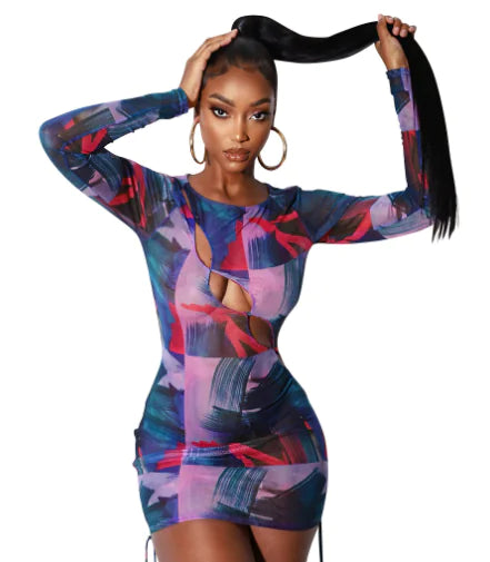 Mesh Sheer Long Sleeve Dress