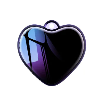 Encrypted Digital Voice Recorder Pendant with Microphone