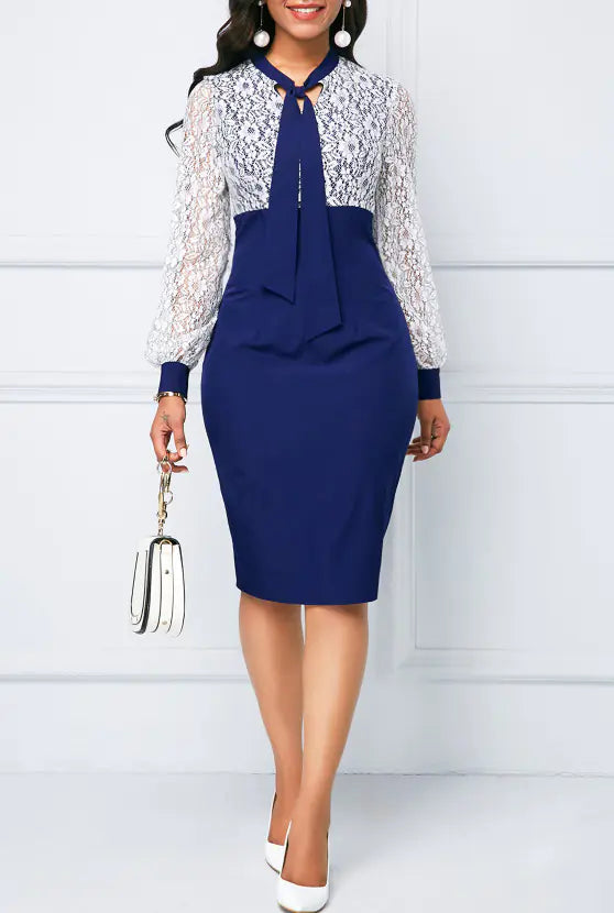 Elegant Lace Office Dress