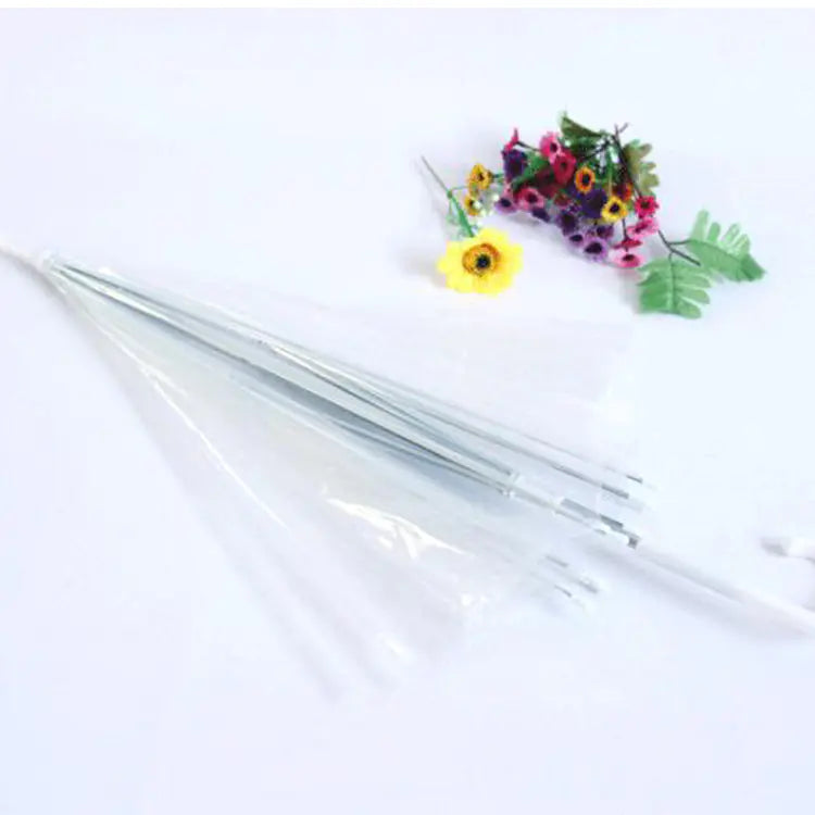 Fashionable Transparent Eco-Friendly Long Umbrella