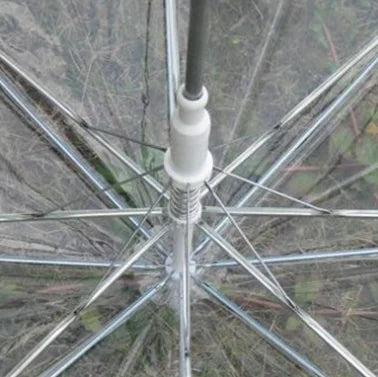 Fashionable Transparent Eco-Friendly Long Umbrella