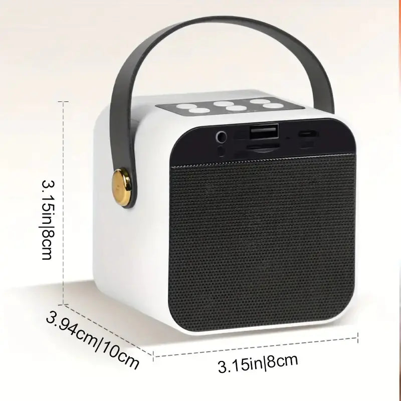 Home Karaoke Speaker System with Wireless Microphone
