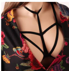 Sexy Fashion Lingerie with Lace and Straps (Various)